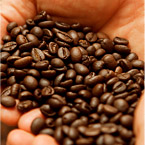 Best Coffee Bean