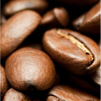 Best Coffee Bean